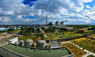 石嘴山最新爆料,揭秘背后惊人真相！